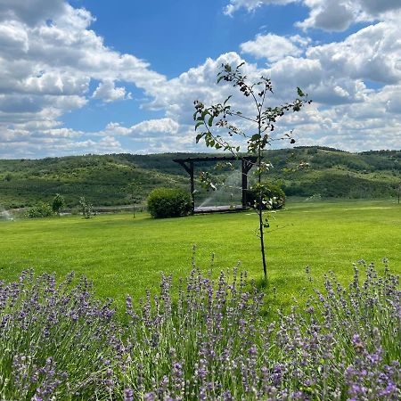 Colina Verde Resort Chisinau Eksteriør bilde