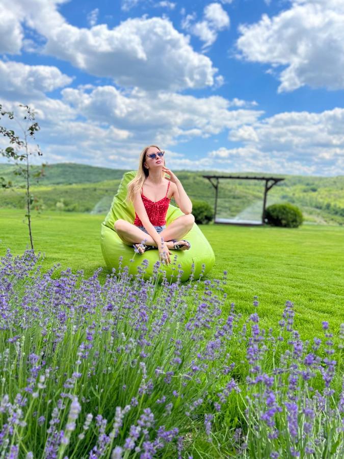 Colina Verde Resort Chisinau Eksteriør bilde