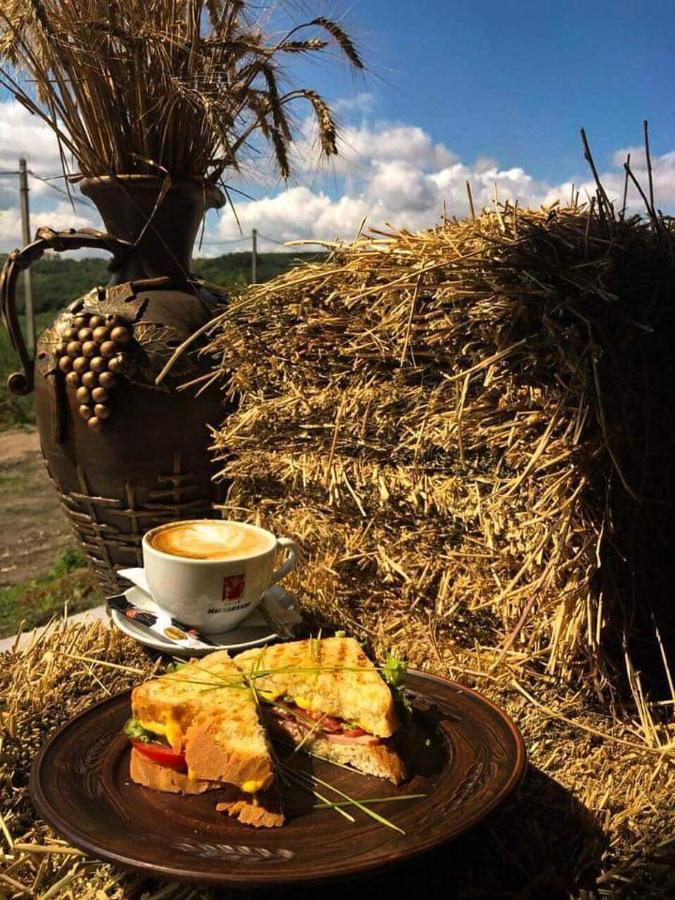 Colina Verde Resort Chisinau Eksteriør bilde
